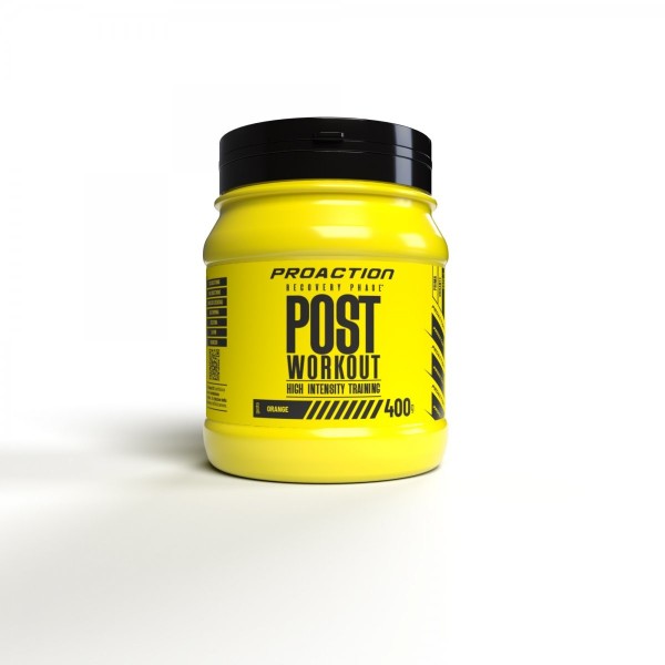 PROACTION Post Workout 400g